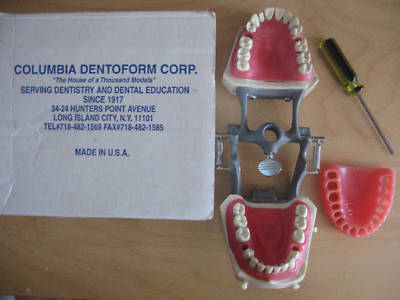 Columbia dentoform corp typodont dental sm-pvr-860