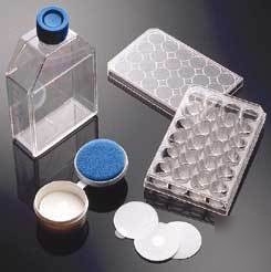 Bd biocoat cellware, poly-lysine, bd biosciences 356692