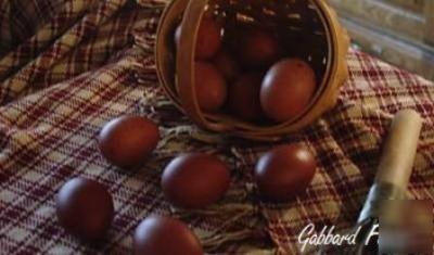French black copper marans chicken hatching eggs 10+