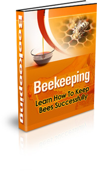 Beekeeping guide raise bees honey hive apiary ebook 