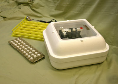 Quail hatching egg incubator starter kit with free eggs