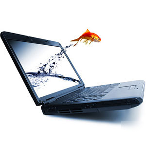 Established website business for sale - laptops