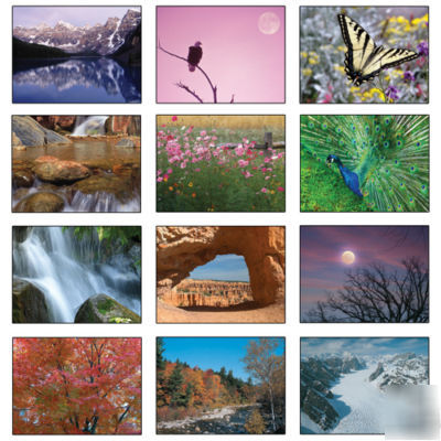 300 wall calendars custom printed promotional