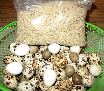 Gamebird starter/breeder feed 28%