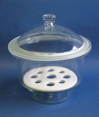Glass dessicator w/ porcelain plate 250MM #7-200-002