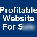 Established profitable unique forex website business