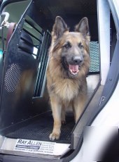 Ray allen - police K9 transport cage/partition/barrier