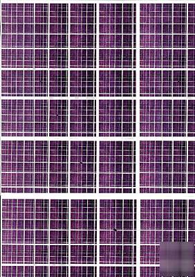Iiiiiiiiiiiiiii 25 pictures in different colours