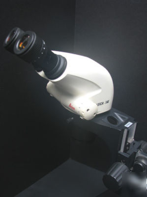 Leica S6E stereozoom microscope boomstand fiber optic