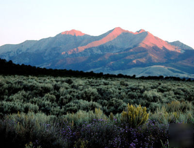 5 acres in costilla county, colorado *only $4,980*