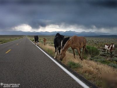 5 acres in costilla county, colorado *only $4,980*