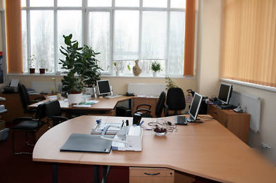 Ready-made business on sale 