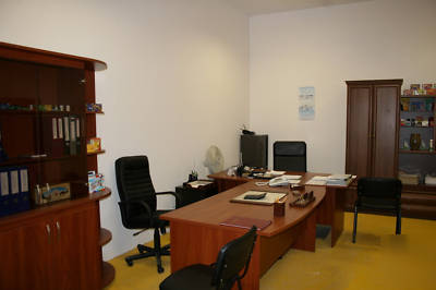Ready-made business on sale 