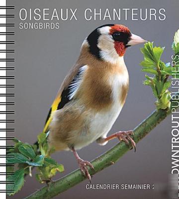 Songbirds: oiseaux chanteurs - 2009 engagement calendar