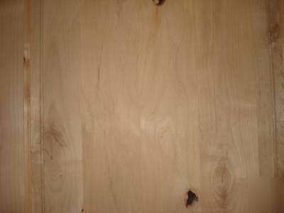 2 panel square panel knotty alder solid core wood doors