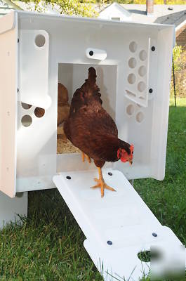Chicken coop for the backyard hobby farmer