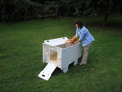 Chicken coop for the backyard hobby farmer