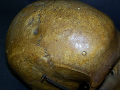 Real human skull for medical/dental study,bone,skeleton