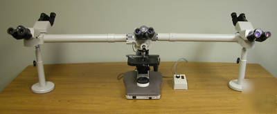 Nikon labophot-2 microscope 5-head multi-view unit 