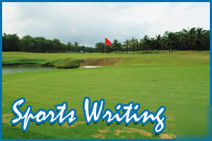 Pro seo article writing service/seo blog article writer